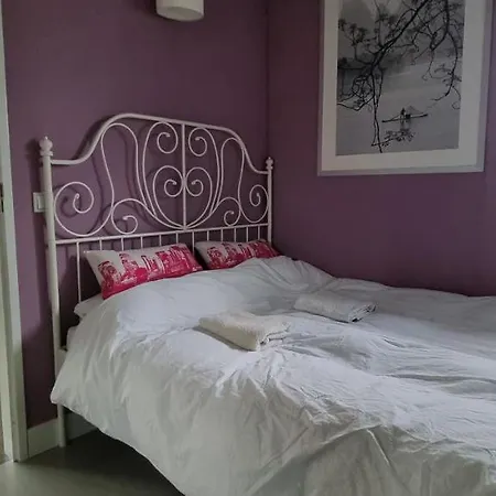Lovely 1 Bedroom With Garden No Smoking אמסטרדם