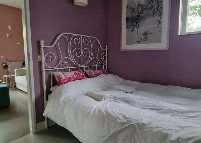 Lovely 1 Bedroom With Garden No Smoking 암스테르담